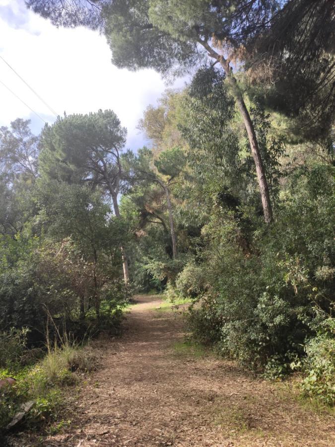 Beach Forest Paradise Marbella Exterior foto